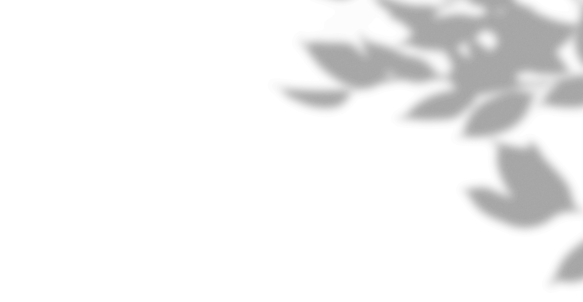 shadow0